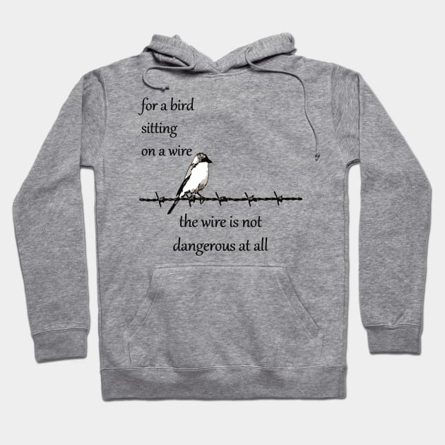 For A Bird Sitting On A Wire The Wire Is Not Dangerous At All Hoodie by taiche
